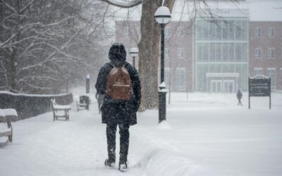 Coping with Winter Blues in Academia: Supporting Faculty Mental Health