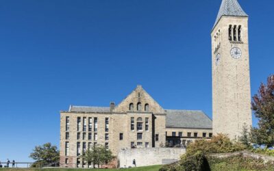 Mentorship Matters: Building Support Networks for Underrepresented Leaders in Higher Ed