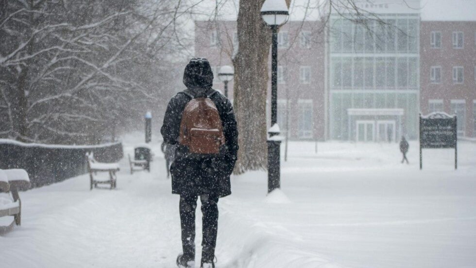 Beating the Winter Blues in Academia: Taking Care of Your Mental Health